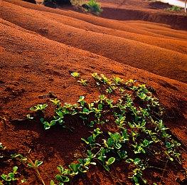 《失落的天空》Steam抢先体验 开放世界合作冒险