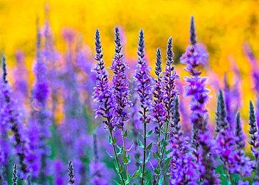 《幽灵线：东京》18分钟实际演示 多种技能对抗超自然之力